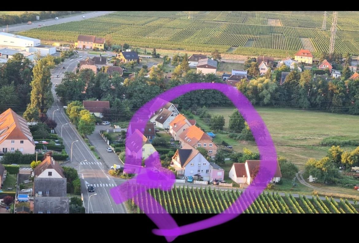 Apartamento Au Petit Logelbach Wintzenheim Exterior foto